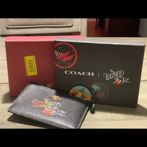 Wizard of Oz Skinny ID Case👠